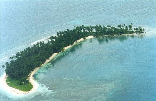 Arial photo of Bird Island